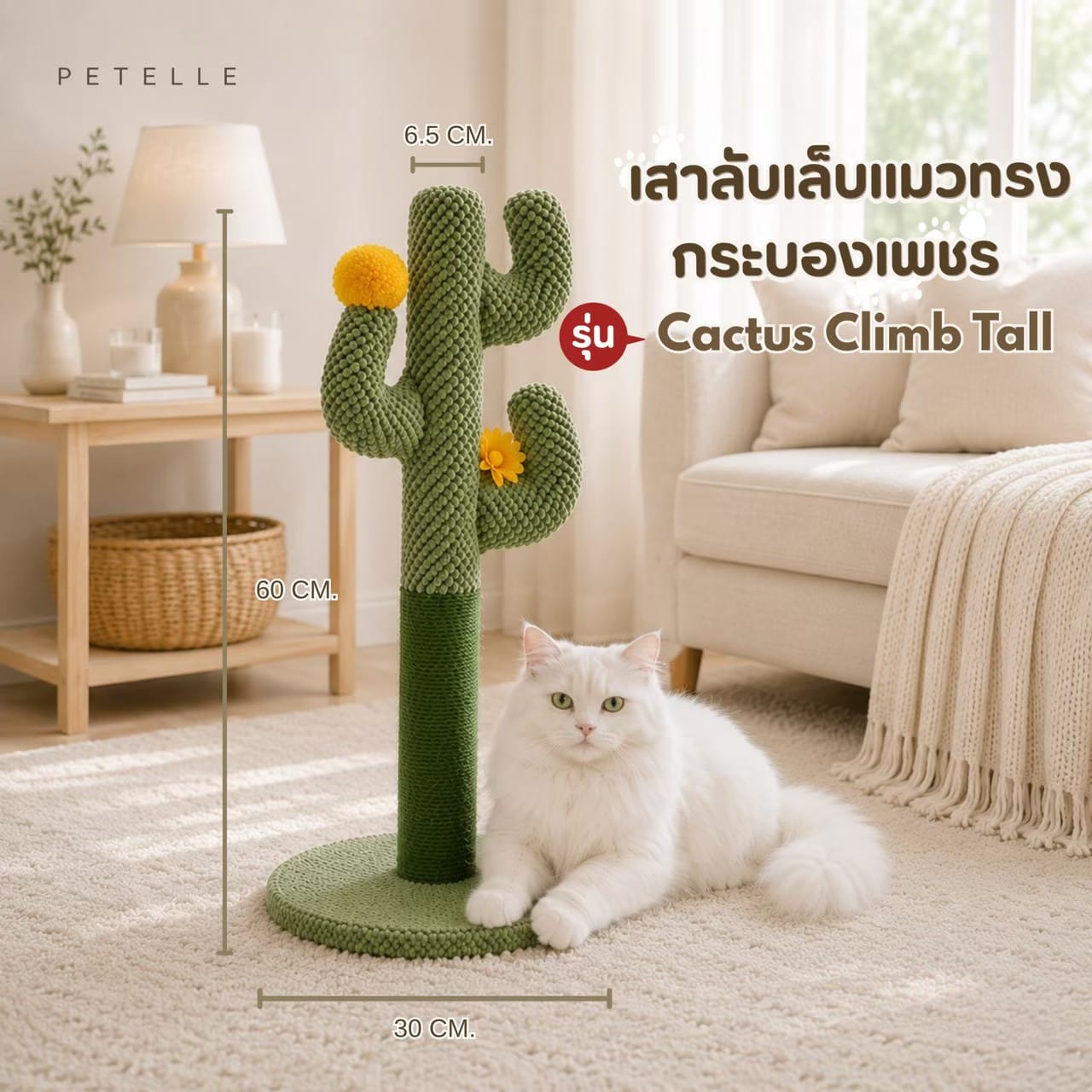 ชุดเฟอร์นิเจอร์แมว 3 ชิ้น PATELLE COZY CORNER_5